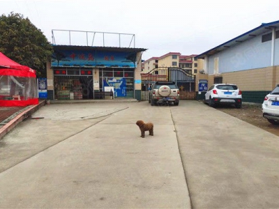 (出租) 汉中汉台胡家扁村5000平厂房场地招租图3