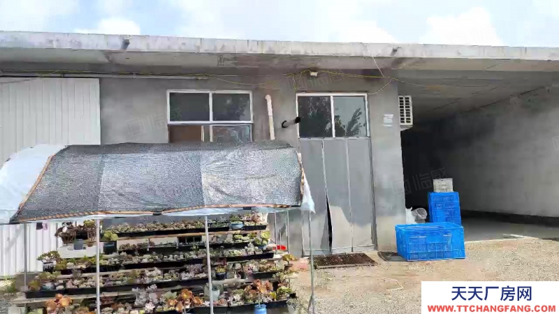 临沂河东九曲斜坊二亩独院框架厂房，建设用地，水电路好