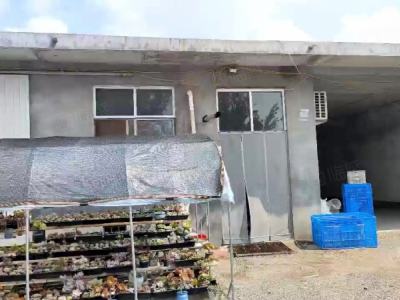 临沂河东九曲斜坊二亩独院框架厂房，建设用地，水电路好图1
