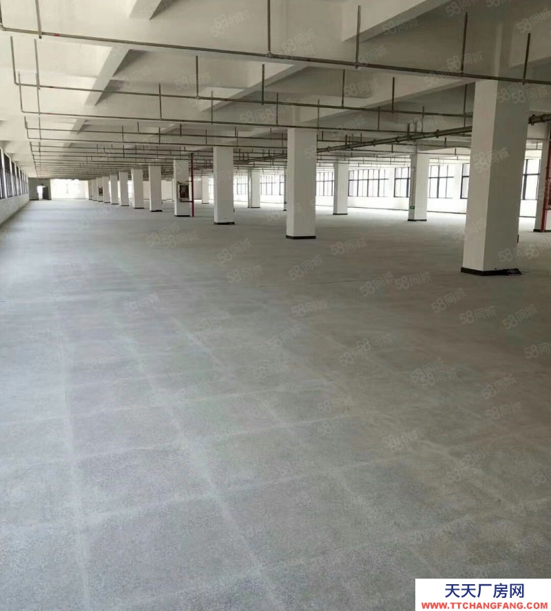 温州瓯海(出租) 巨溪工业区 标准厂房 中心位置 可分租可整租