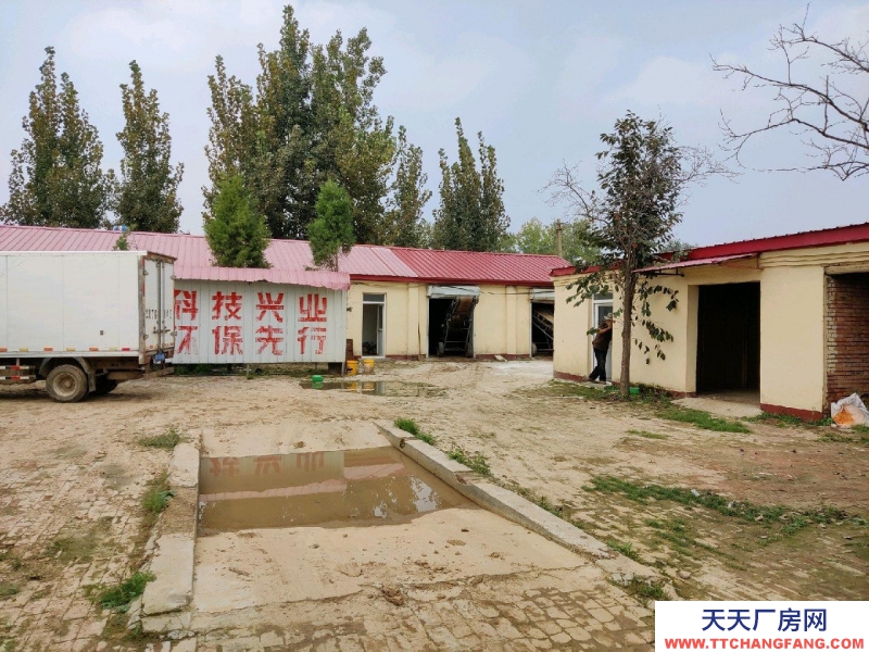 廊坊 大城 面积两亩半地，房屋12间，有变压器，了以办厂养殖等。