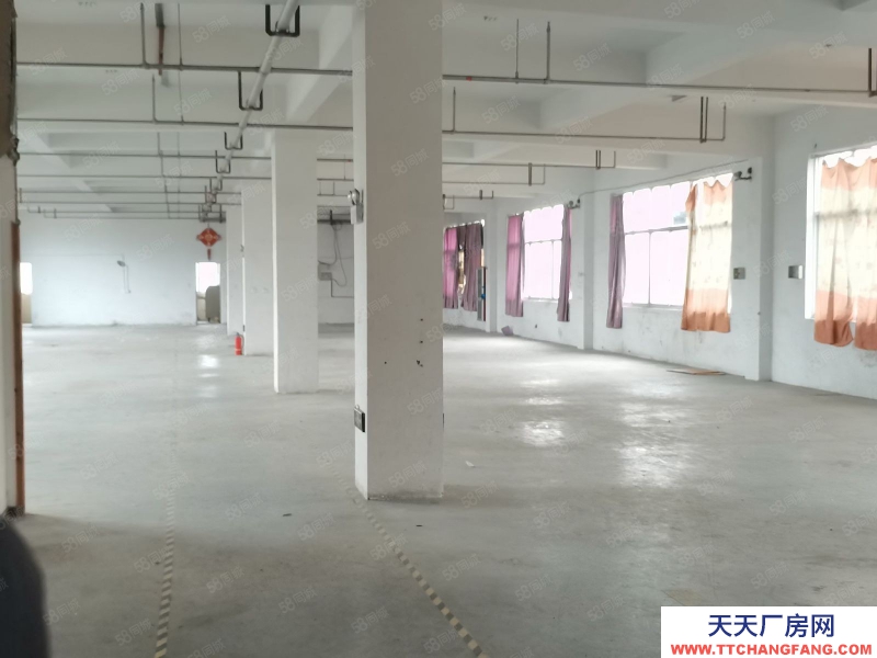 温州瓯海(出售) 出售，泽雅工业区独门独院厂房约4亩建筑面积独幢5500平方