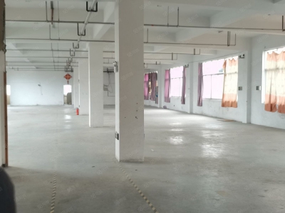 温州瓯海(出售) 出售，泽雅工业区独门独院厂房约4亩建筑面积独幢5500平方图2