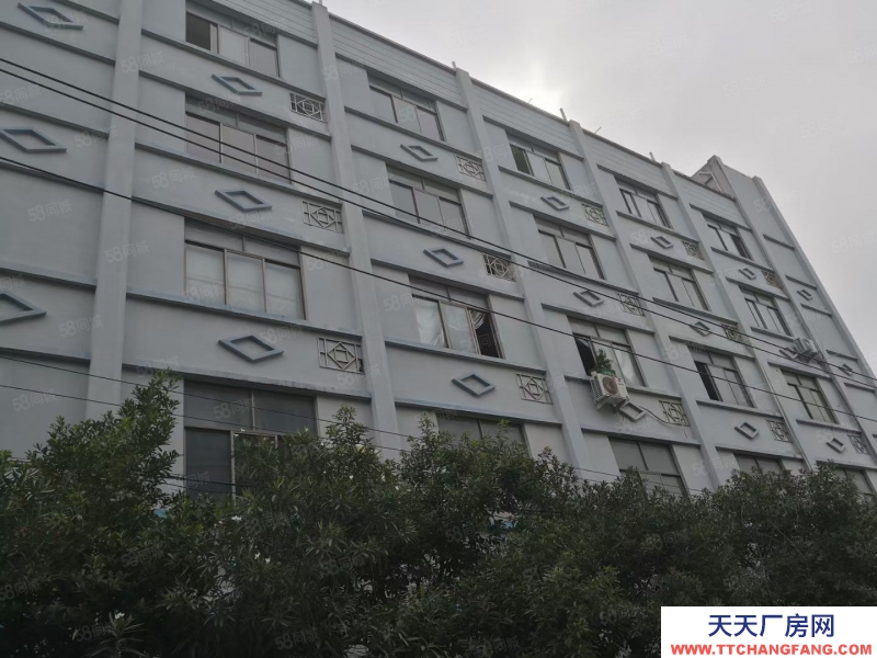 温州瓯海(出售) 出售，泽雅工业区独门独院厂房约4亩建筑面积独幢5500平方