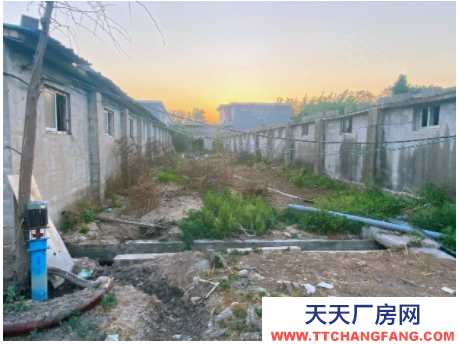 临沂郯城县好位置养殖场出租出售