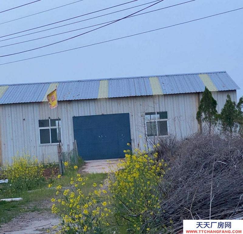 临沂郯城主房十间，厂房300平方米
