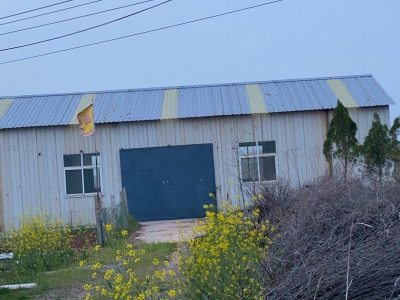 临沂郯城主房十间，厂房300平方米图1