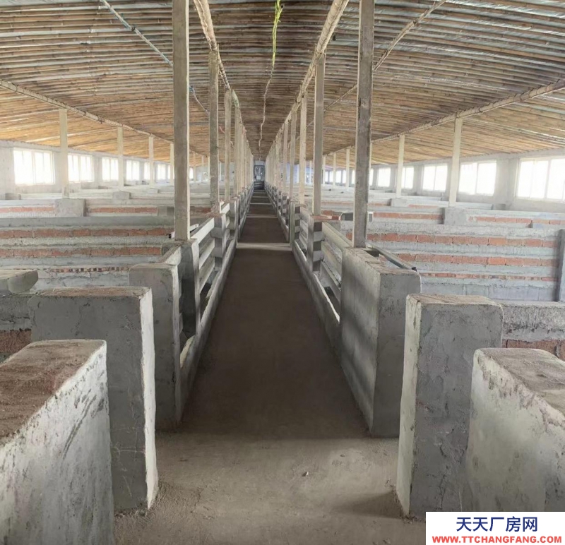 临沂郯城养殖场出售 有意者电话联系