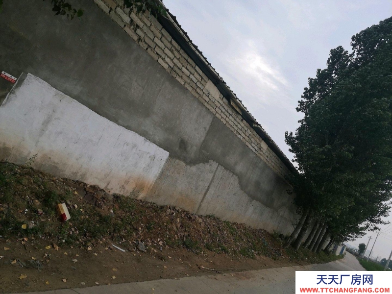 临沂沂水靠路边 适合多种用途 价格可议
