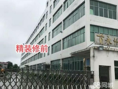 邵阳市大祥区低价出售或出租，超高性价比图3