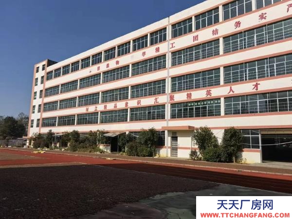 邵阳市大祥区低价出售或出租，超高性价比