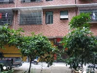 邵阳市大祥区 交通方便，安全，便于停车，可办公或做仓库。图3