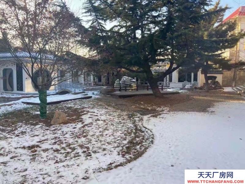 秦皇岛 海港 出售海港海港区港城早市对面商铺