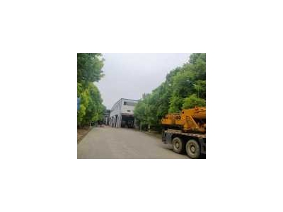 (出租) 出租杨市章华南路大型钢构厂房图3