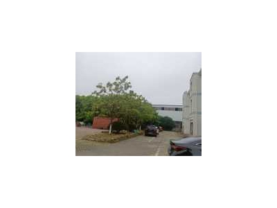 (出租) 出租杨市章华南路大型钢构厂房图2