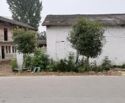 (出租) 天门面积1300多平米实际占地3亩，旧房可以按需改造可做仓库。