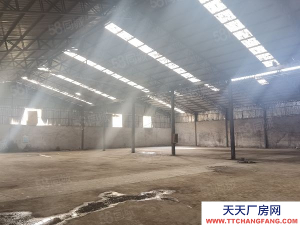 临沂费县出售房源 总占地9亩 3亩带证 厂房4000办公楼650