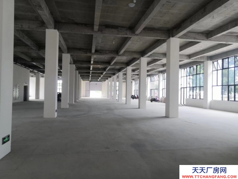 全新框架结构，独栋新厂房，形象气质佳，970-5000平，赠送20%面积，