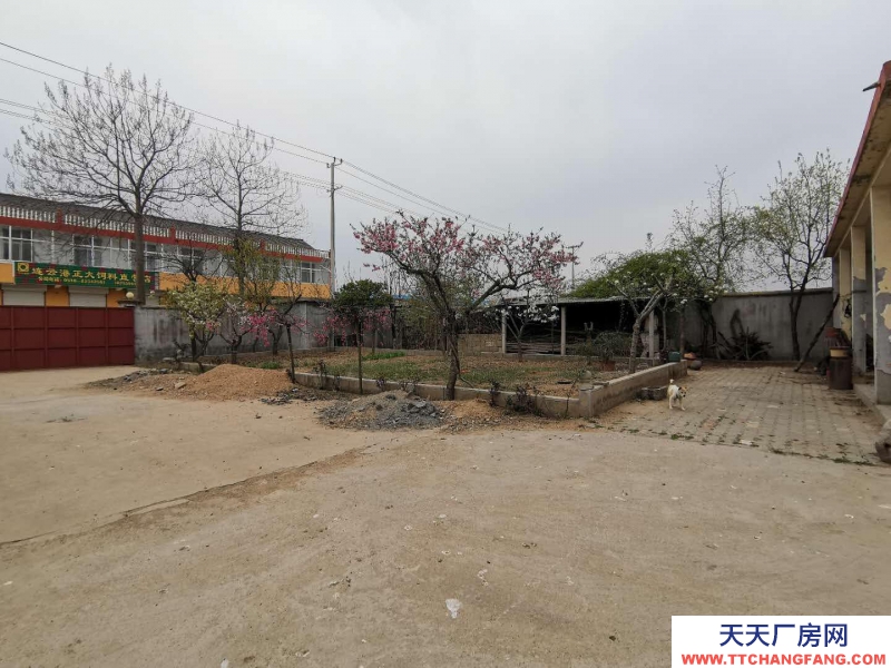 临沂莒南出租出售莒南洙边镇驻地厂房