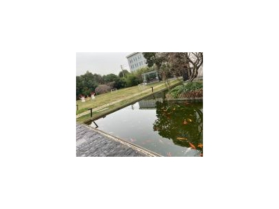 (出租) 徐汇稀有花园式独栋 办公展厅 建筑设计摄影文创 企业总部图1