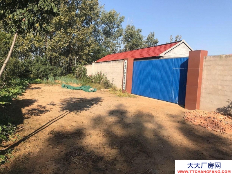 临沂莒南出售新建厂房大院仓库占地4亩