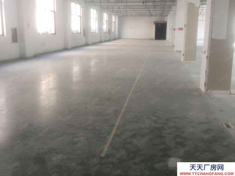 温州永嘉(出租) 乌牛新厂房，一楼1000二楼2000，货梯很大