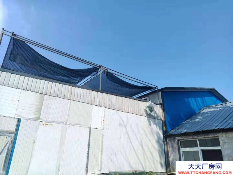 秦皇岛 山海关 本厂主要经营大酱，面酱，蒜蓉辣酱，技术成熟，正常营业中