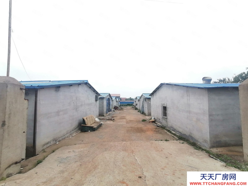 秦皇岛 山海关 红瓦店13间370平库房出租