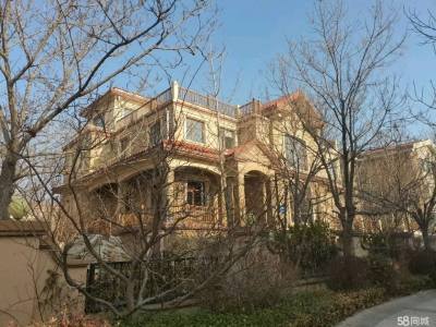 秦皇岛 北戴河  商业门市，带大院4.2亩图1