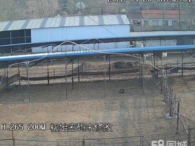 秦皇岛 青龙  养殖大院，手续齐全，可以养殖牛羊图3