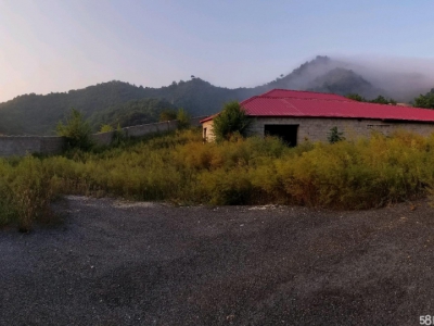 秦皇岛 青龙 大型养殖场，厂房，外加斜山坡面积更大图1