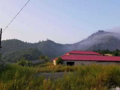 秦皇岛 青龙 大型养殖场，厂房，外加斜山坡面积更大图2