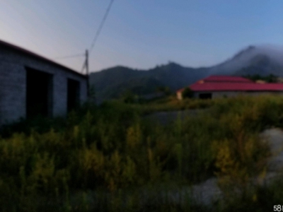 秦皇岛 青龙 大型养殖场，厂房，外加斜山坡面积更大图4