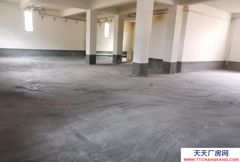 (出租) 天水秦城七里墩加油站后面库房，场地宽阔，交通便利，大路边，有厂院