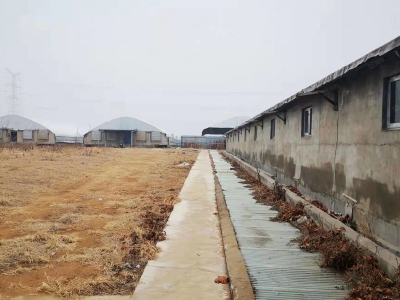 临沂 临沭40亩现代化养殖场，手续齐全，方正独院，水电路好，养猪鸭图1