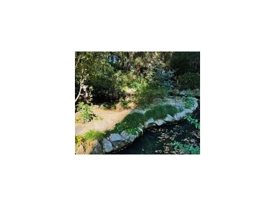 (出租) 长宁市中心独栋带三个院子 公司总部 展厅等图1