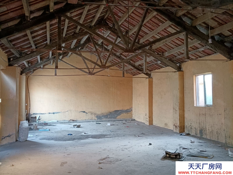 泰安泰山徐家楼工业园 王家店东 厂房仓库 可整租可分租
