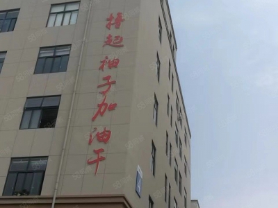 温州平阳(出租) 国道边厂房楼上，形象好进出方便适合各行各业图1