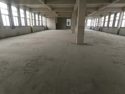 泰安泰山招商！博阳路省庄工业园 大型厂房 标准化车间 办公室 写字楼图1