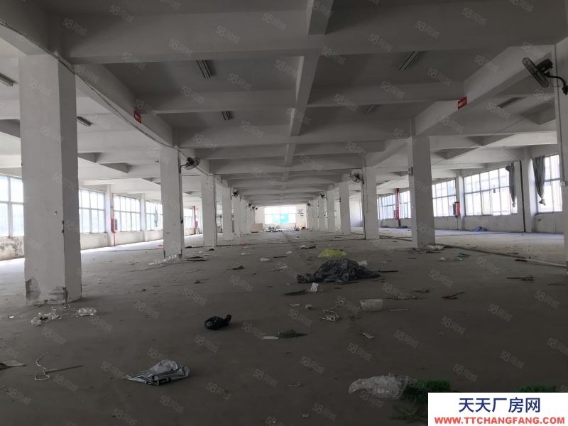 温州平阳(出租) 标准厂房二楼出租，18含税，货梯10吨适合做机械带行车