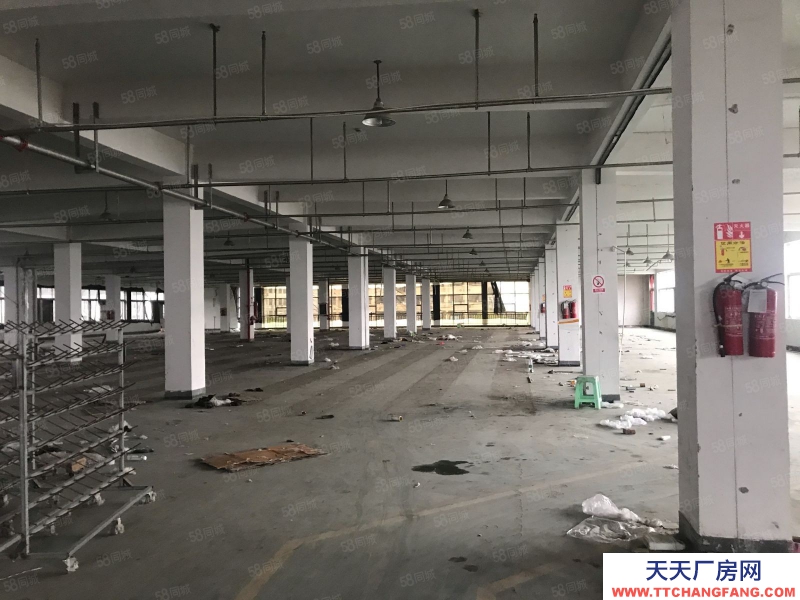 温州平阳(出租) 标准厂房一幢可分出租适合做家具