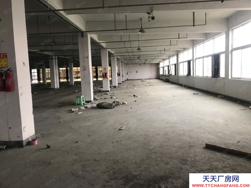 温州平阳(出租) 标准厂房一幢可分出租适合做家具