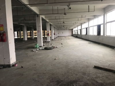 温州平阳(出租) 标准厂房一幢可分出租适合做家具图2