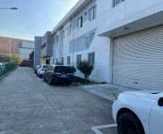 (出租)普陀 桃浦核心区域260平起分租诚招各类研发电商仓储展厅办公