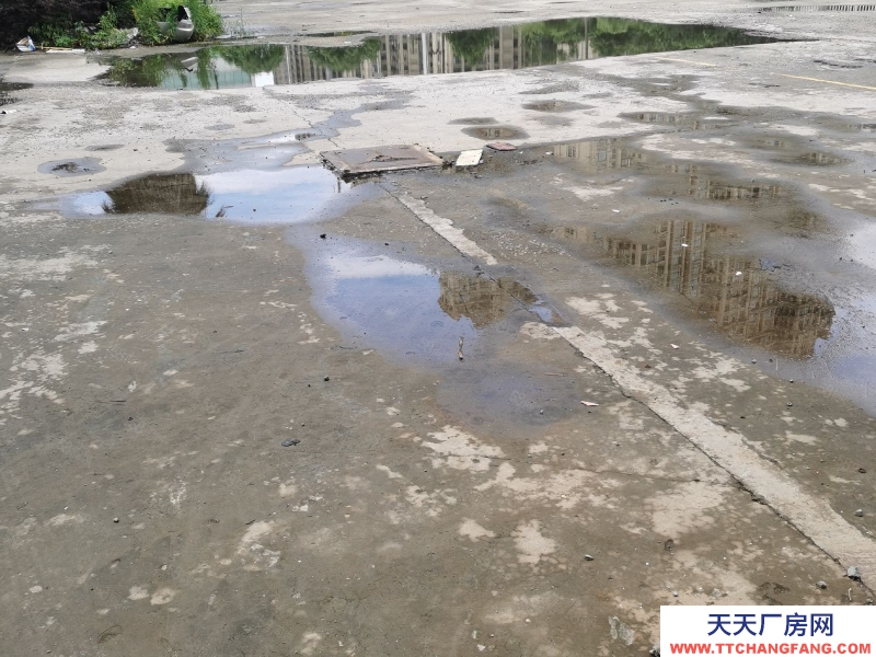 温州平阳(出租) 整幢出租一至三层，每层1500平方，空地多