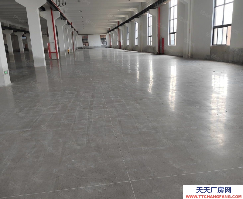 温州平阳(出售) 出售平阳独门独院10亩建筑面积8500平方一楼利用率高