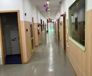 (出租) 虹口性托育所转让（已运营3年，现成营业执照食品经营许可