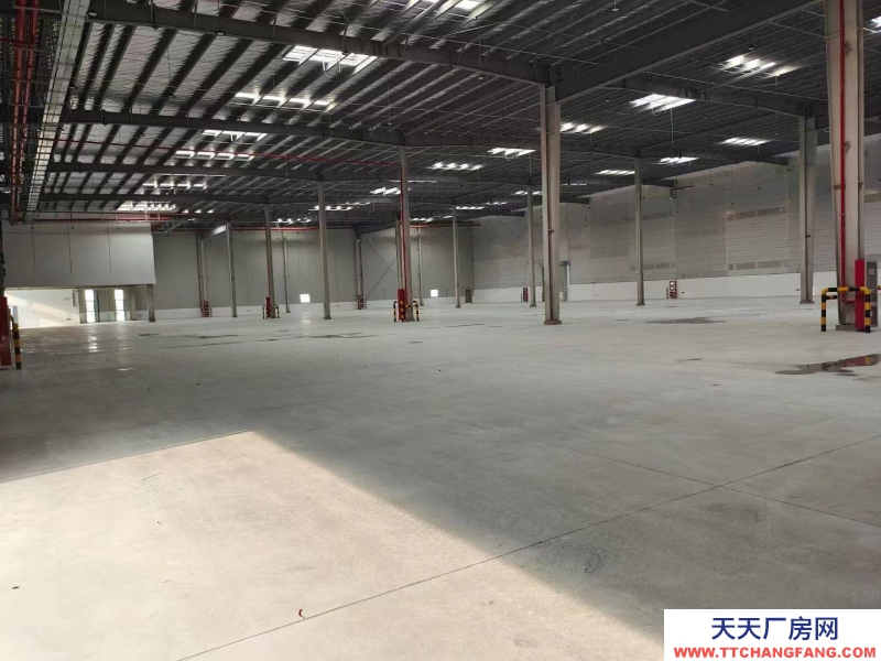 (出租) 大连市金州金普新区丙二类高标仓库，生产、加工、物流仓储均可
