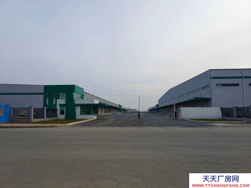 (出租) 大连市金州金普新区丙二类高标仓库，生产、加工、物流仓储均可