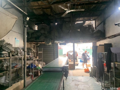 (出租) 大连西岗大菜市主道铺面图1